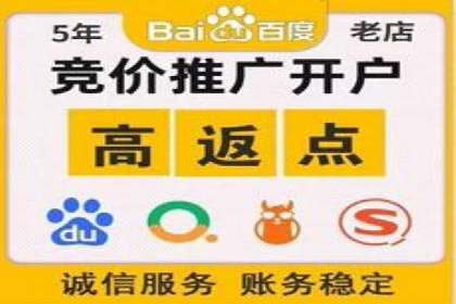 百度搜索引擎优化推广案例解析